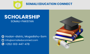 Pakistan-scholarship